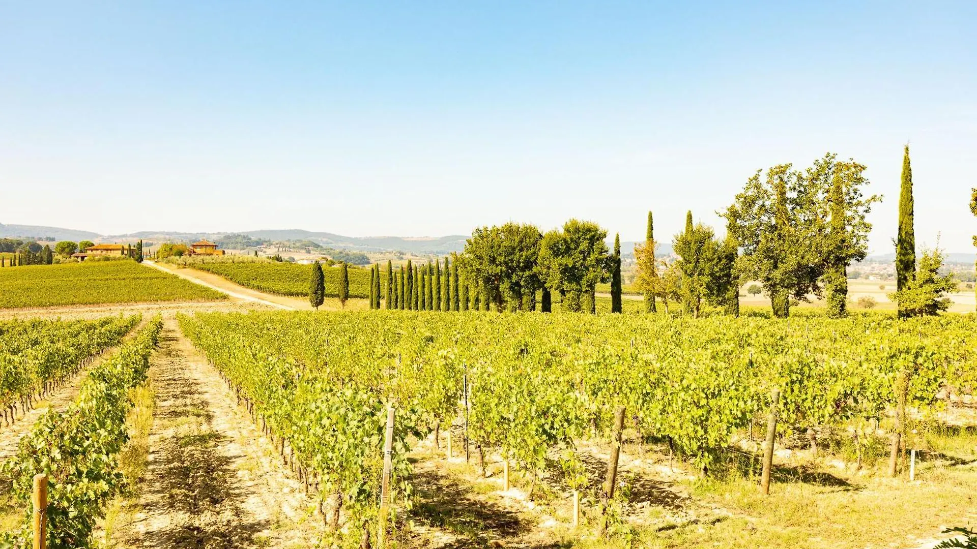 Appartamento Sangiovese Montepulciano Farm stay