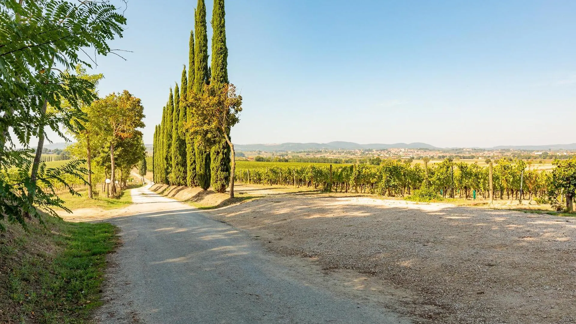 Appartamento Sangiovese Montepulciano Farm stay